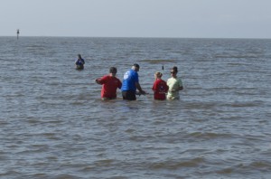 Sea turtle release04