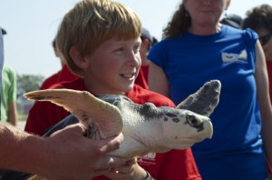 Sea turtle release05