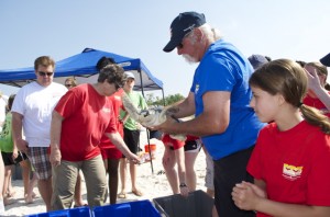 Sea turtle release06