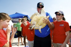 Sea turtle release07