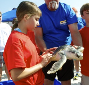 Sea turtle release08