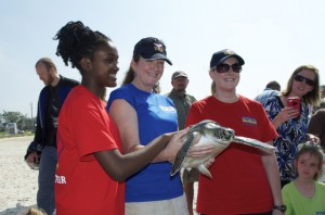 Sea turtle release09