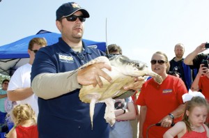 Sea turtle release10
